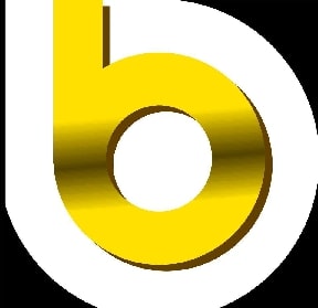 Bank of Bartlett Logo