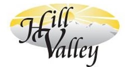HILL VALLEY FINANCIAL SERVICES INC Logo