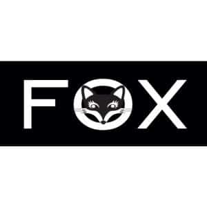 Fox & Company, Inc. Logo