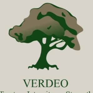 Verdeo Capital Group, Inc. Logo