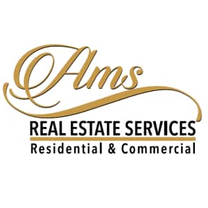 AMS Holdings, Inc Logo