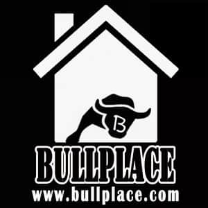 Bullplace Inc. Logo