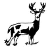 Deer Creek Mortgage Logo