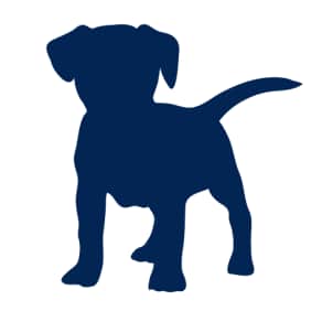 Blue Loans LLC Logo