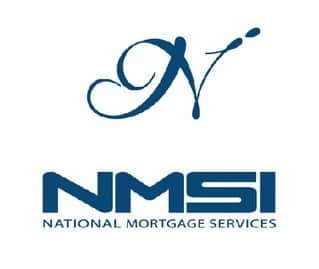 NMSI, Inc. Logo