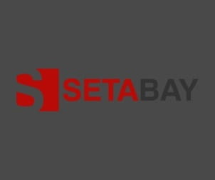 Setabay LLC Logo