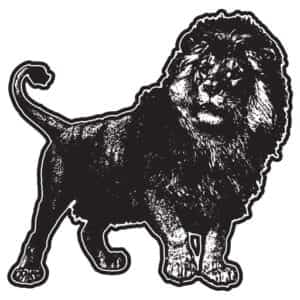 Lion Federal Credit Union Logo