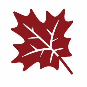 Maple Federal Credit Union Logo