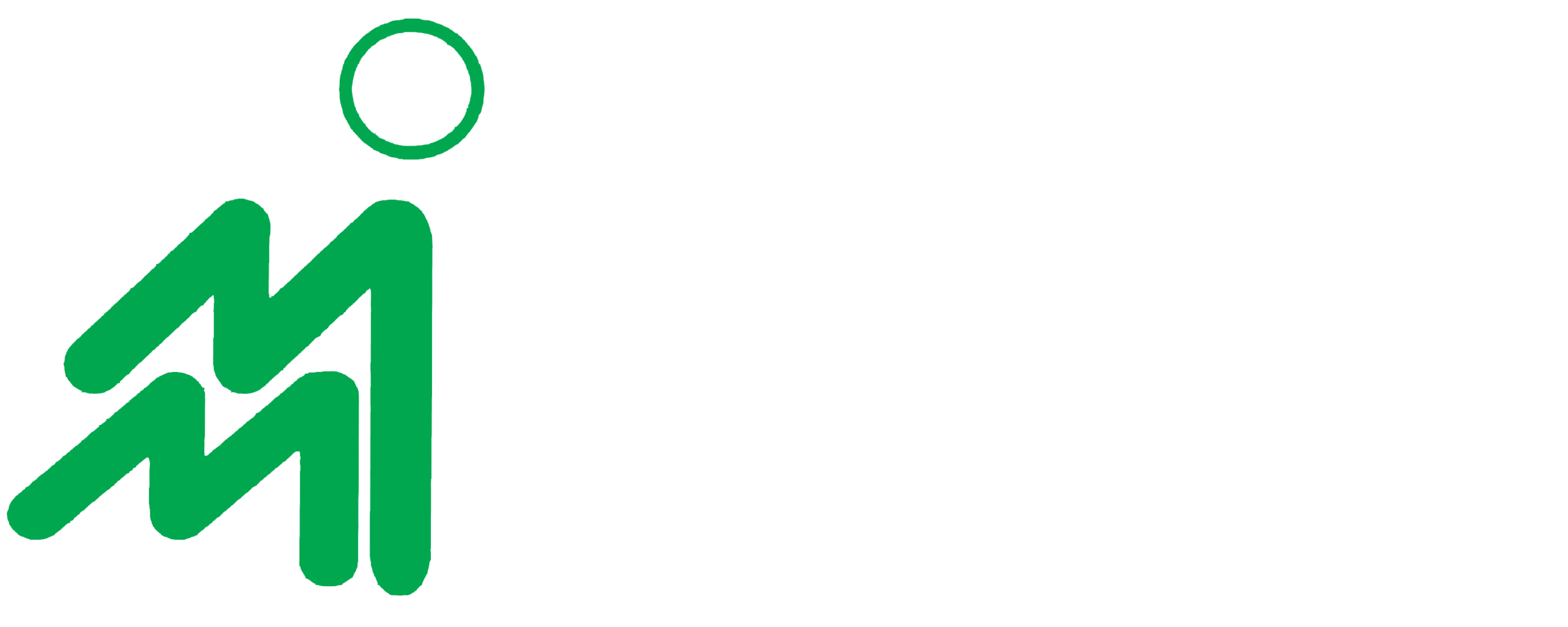 Metro Island Mortgage Inc Logo