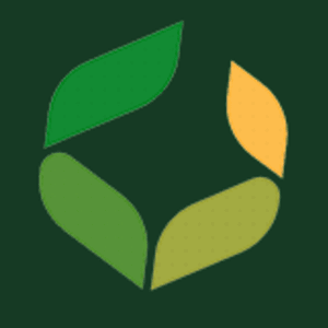 iCapital Options Logo